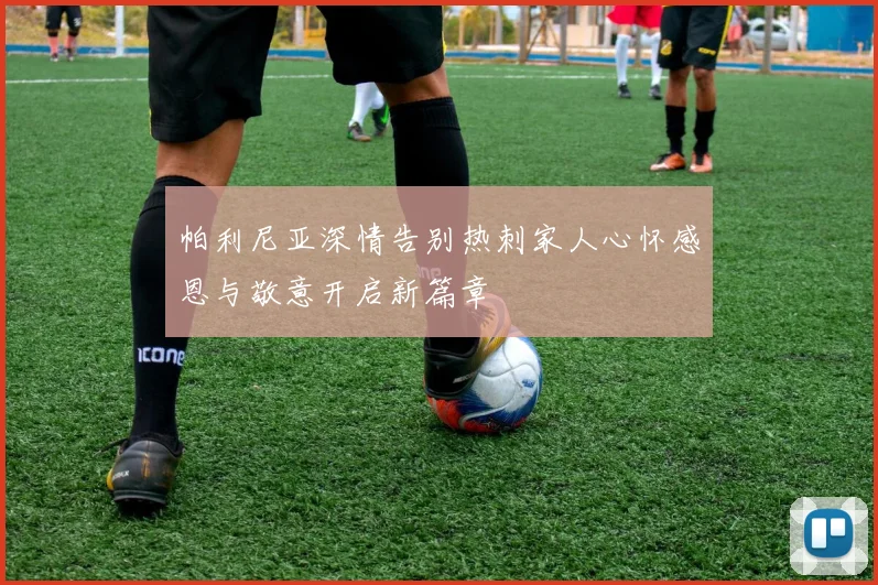 帕利尼亚深情告别热刺家人心怀感恩与敬意开启新篇章